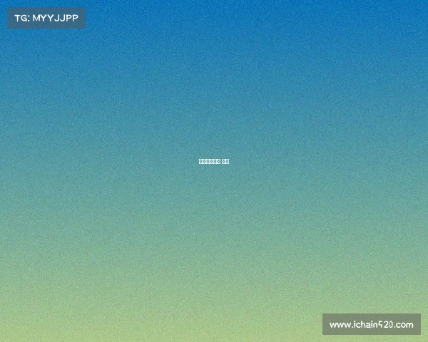 上海网球赛事 孙雷